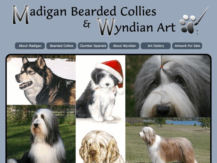 www.madigan-wyndian.com