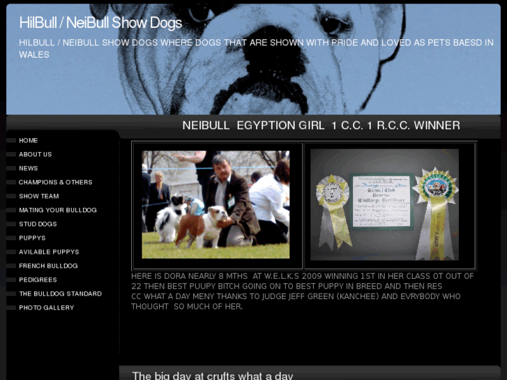 www.neibullshowdogs.com