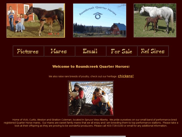 www.roundcreekquarterhorses.com