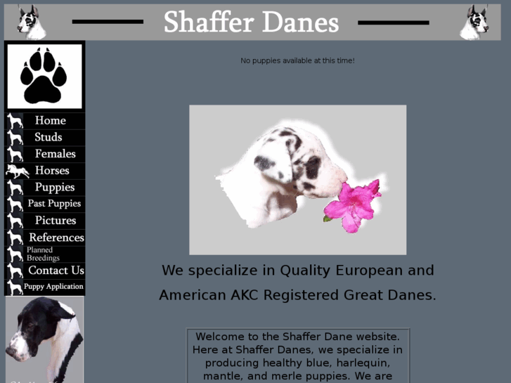 www.shafferdanes.com