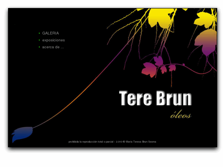 www.terebrun.es