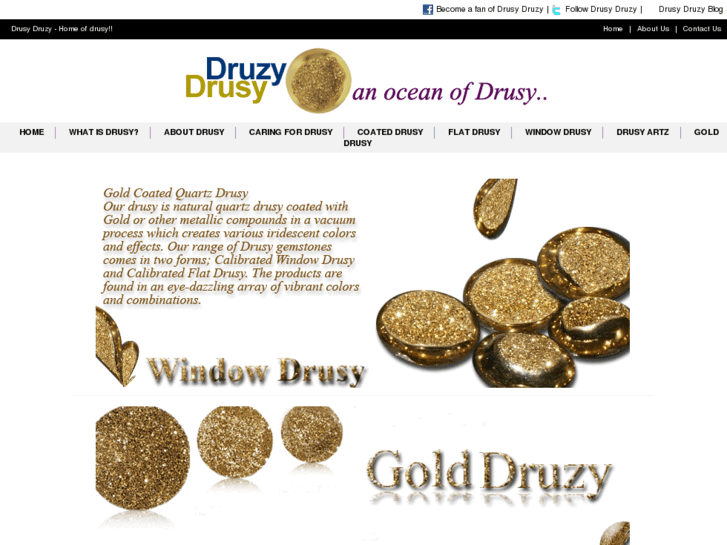 www.drusydruzy.com