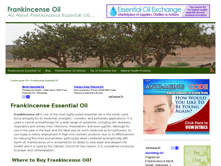 www.frankincense-oil.com