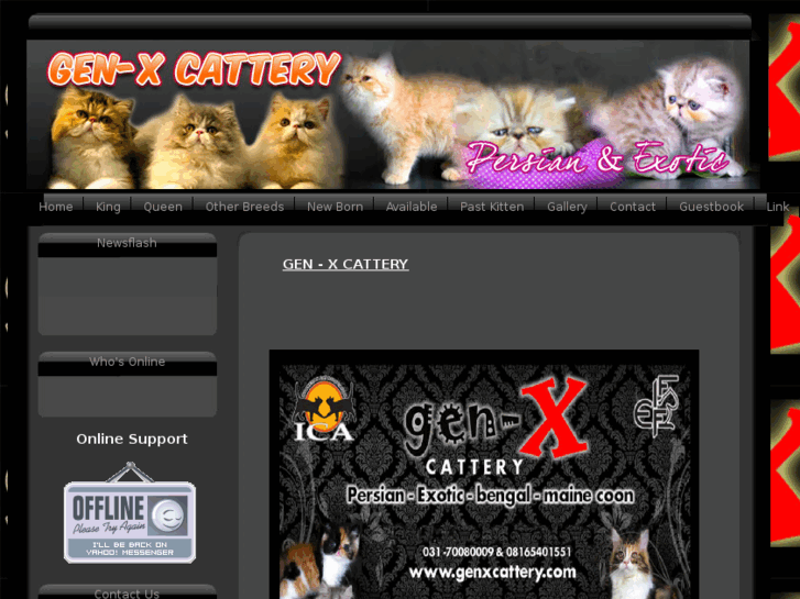 www.genxcattery.com