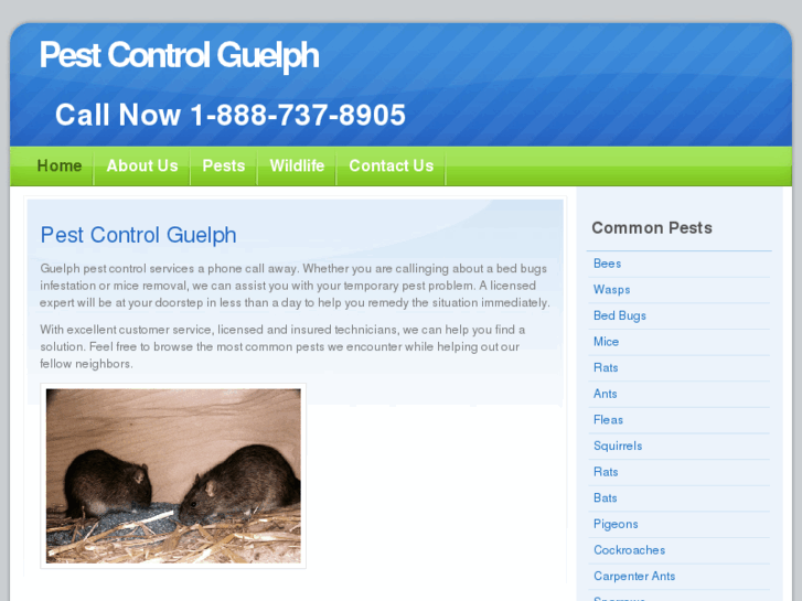 www.pestcontrolguelph.com