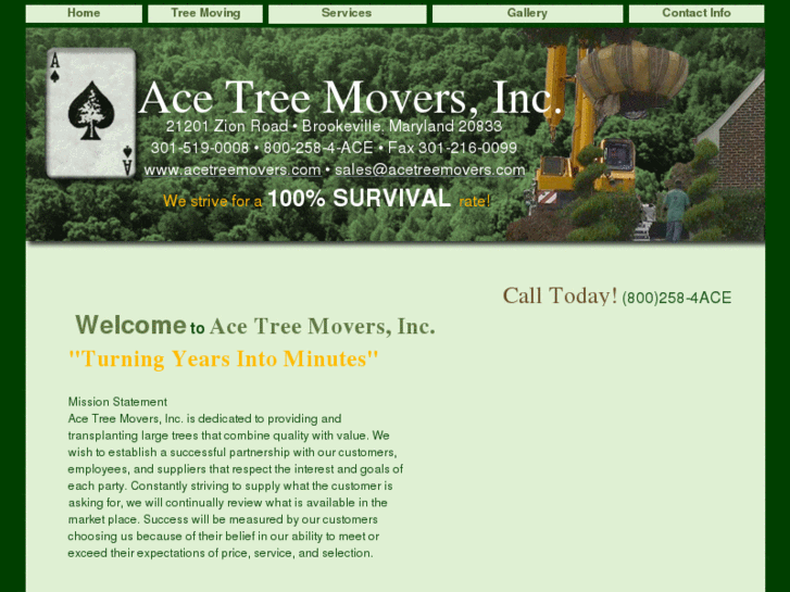 www.acetreemovers.com