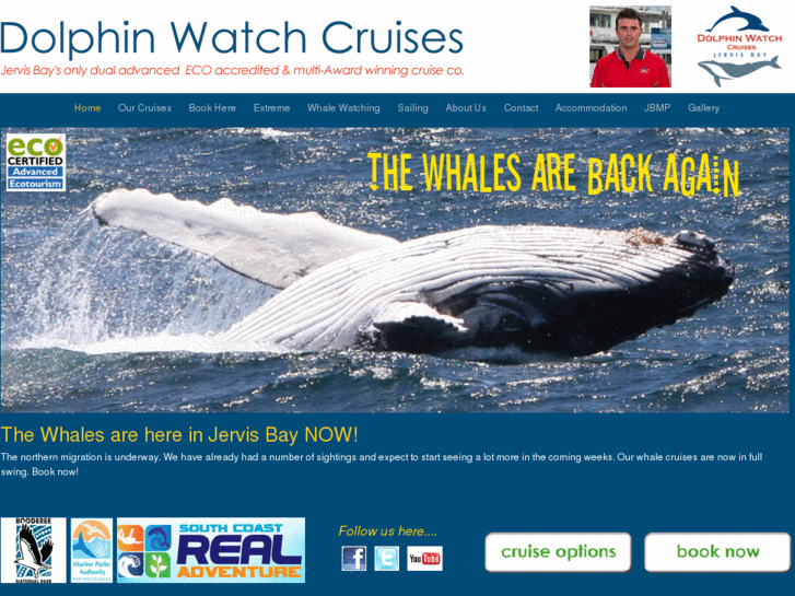 www.dolphinwatch.com.au