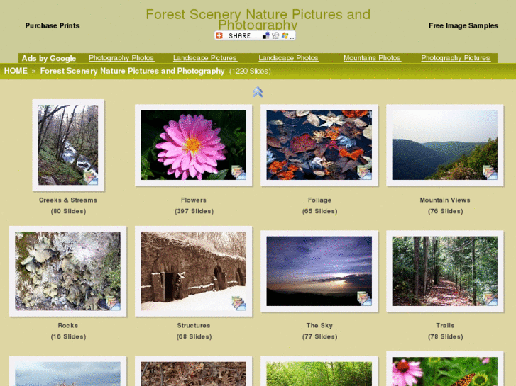 www.forestscene.com