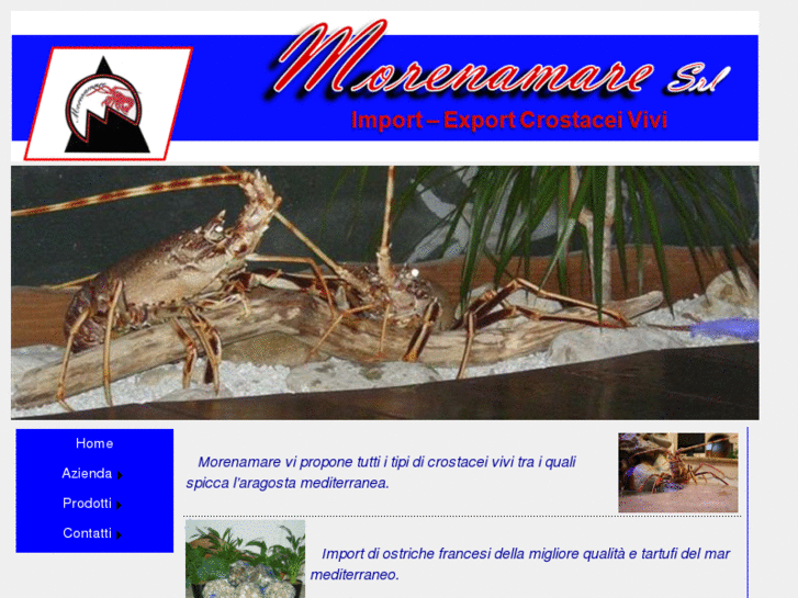 www.morenamare.com