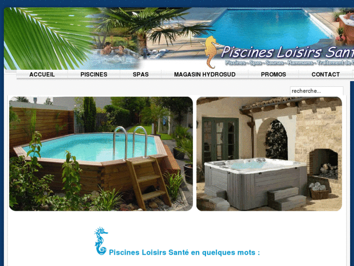 www.piscines-loisirs-sante.com