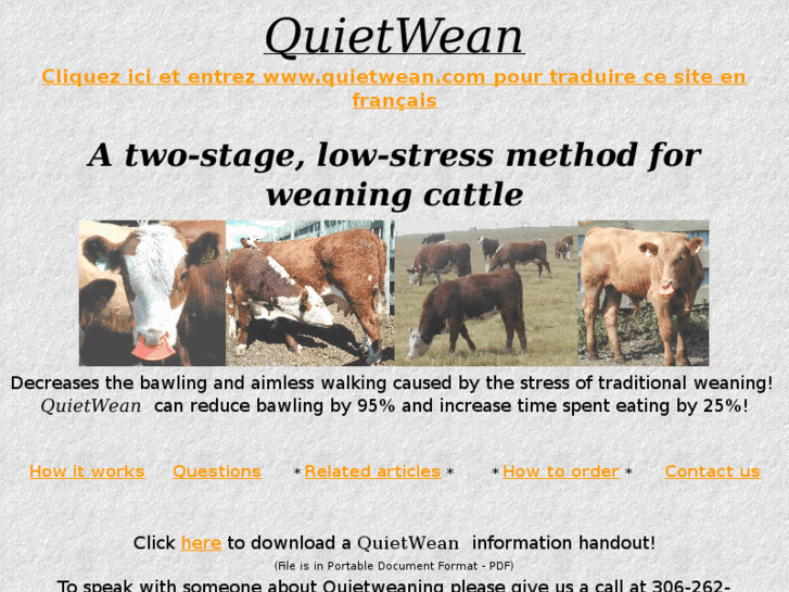 www.quietwean.com
