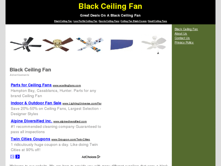 www.blackceilingfan.org