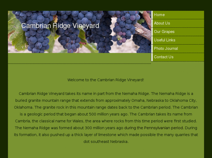 www.cambrianridgevineyard.com