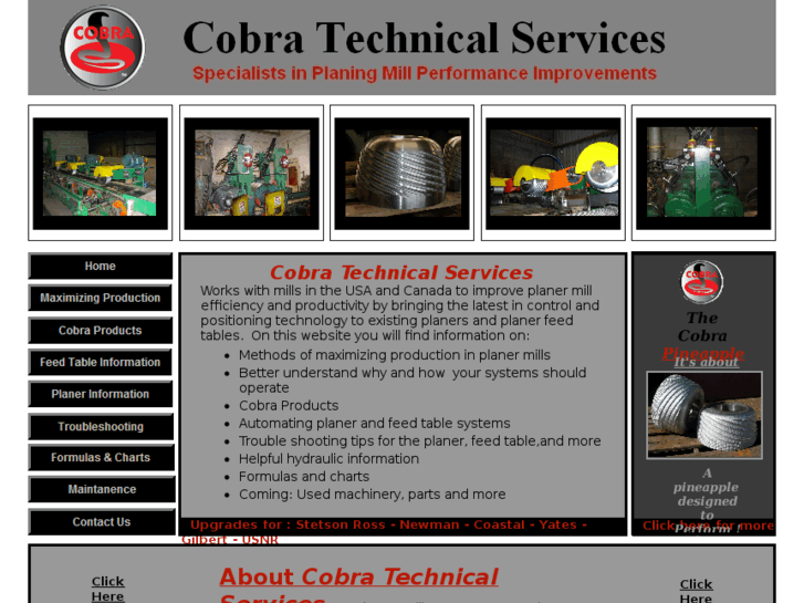 www.cobratechservices.com