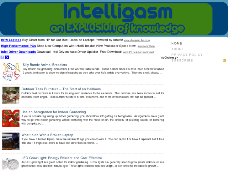 www.intelligasm.com