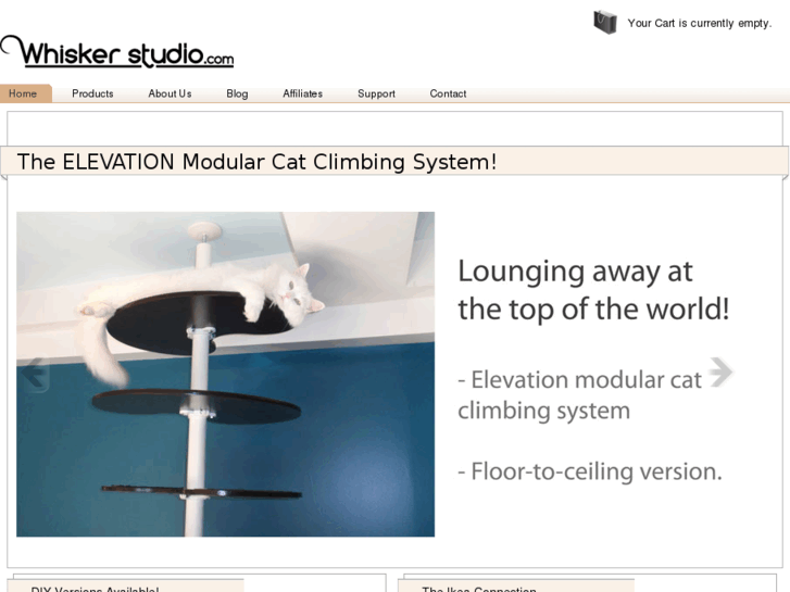 www.whiskersstudio.com