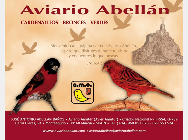 www.aviarioabellan.com