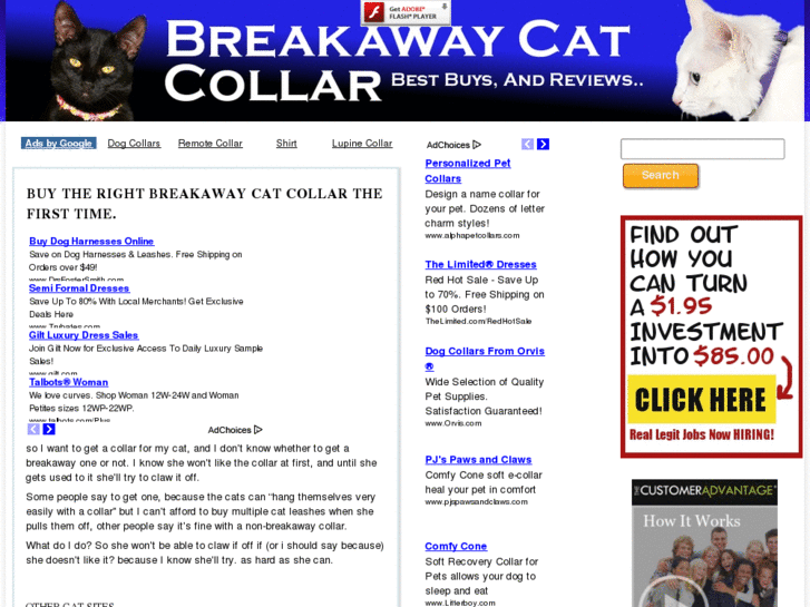 www.breakawaycatcollar.com