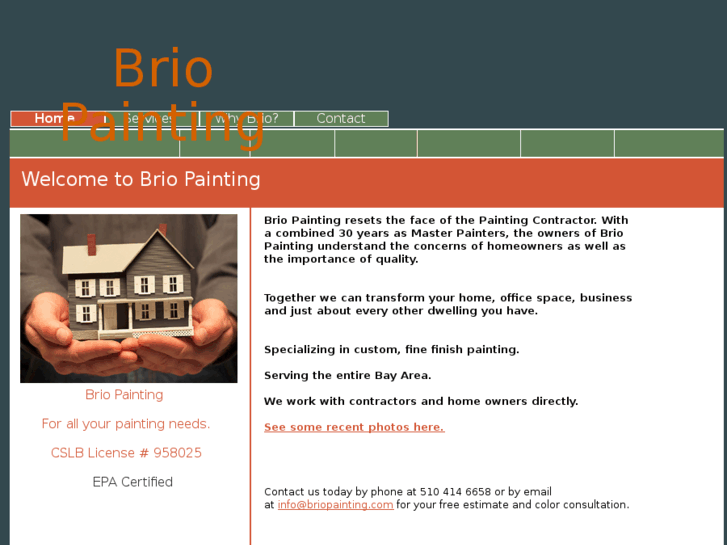 www.briopainting.com