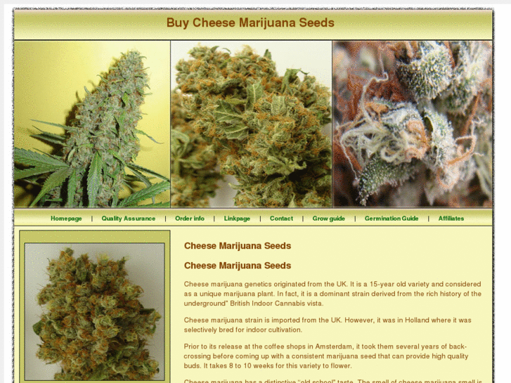 www.buycheesemarijuanaseeds.com