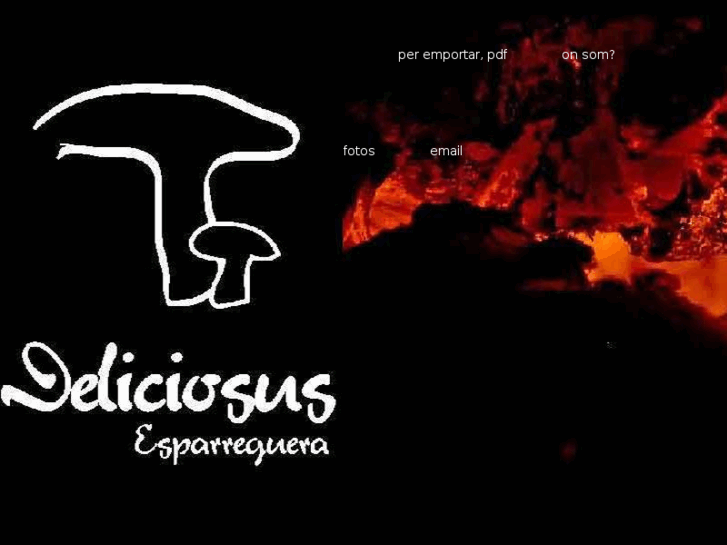 www.deliciosusrostisseria.es