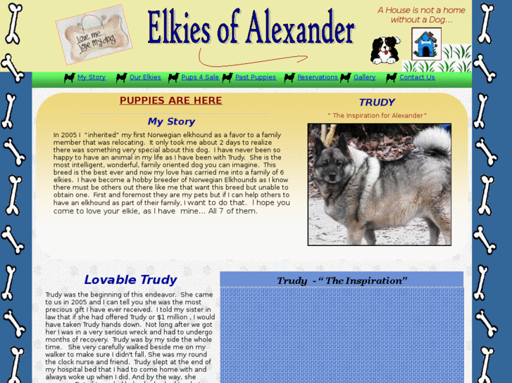 www.elkiesofalexander.com