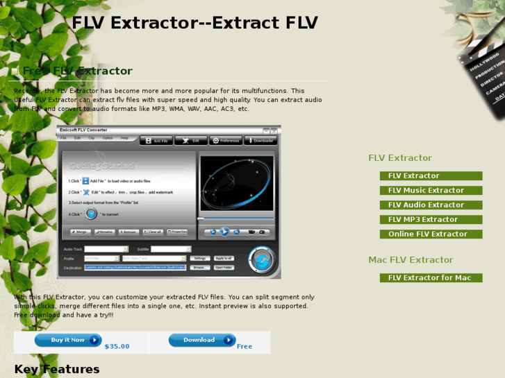 www.flvextractor.com