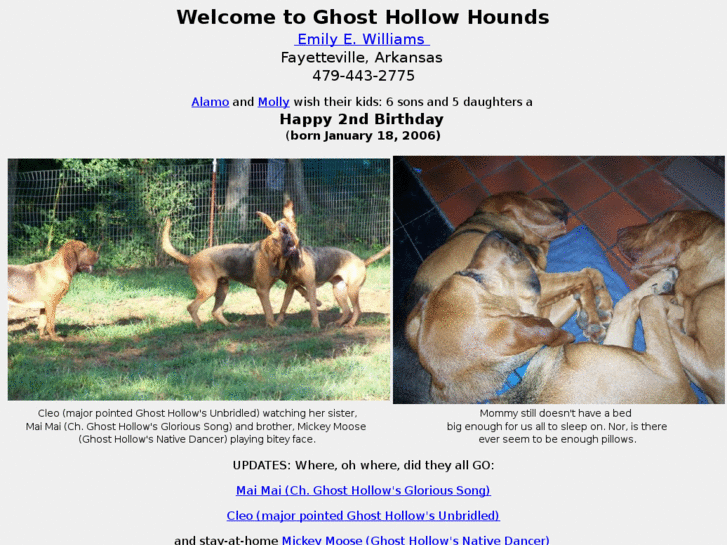 www.ghosthollowhounds.com