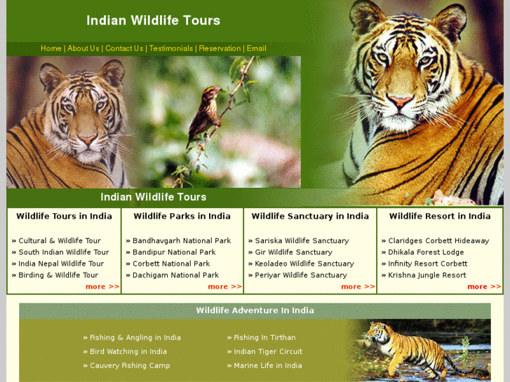 www.indianwildlifetours.com