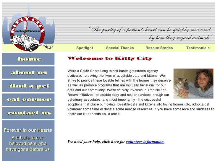 www.kittycityadoption.com