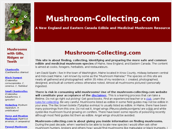 www.mushroom-collecting.com