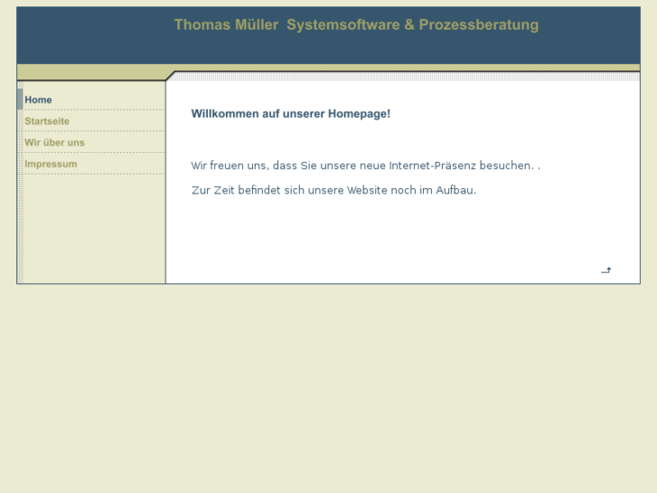 www.tmsp-consulting.com