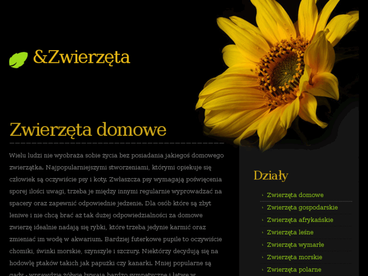 www.zwierzatka.info