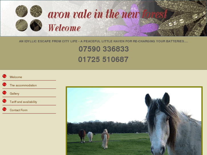 www.avonvaleinthenewforest.com