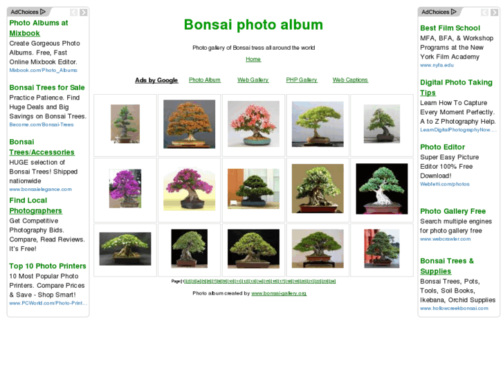 www.bonsai-gallery.org