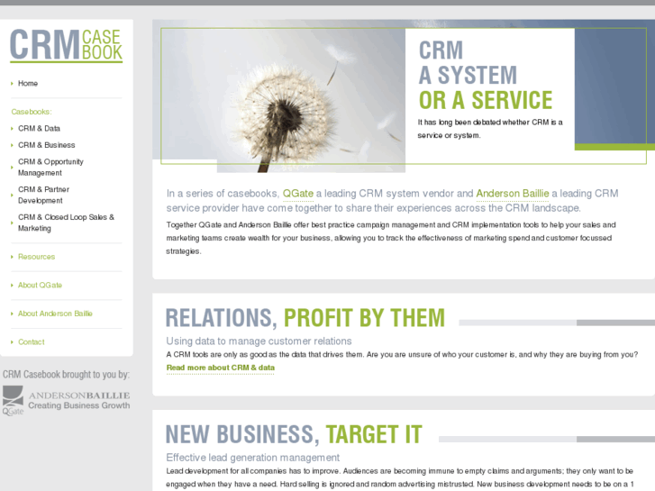 www.crmcasebook.com