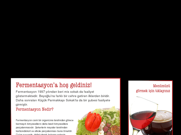 www.fermentasyon.com