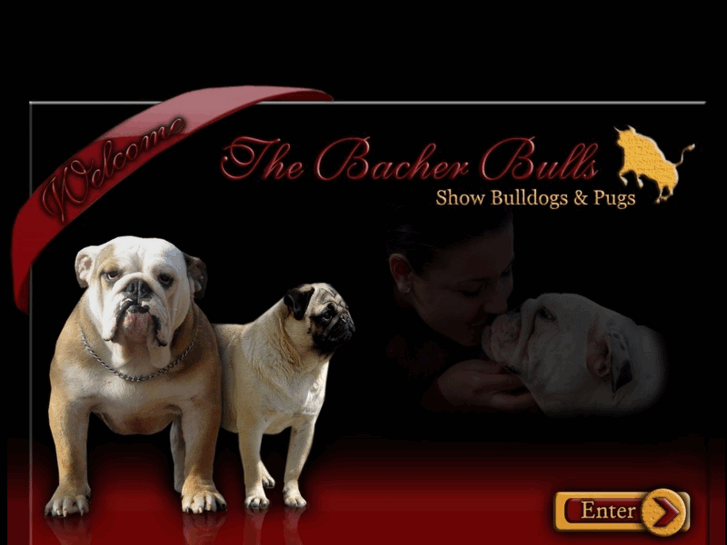www.thebacherbulls.com