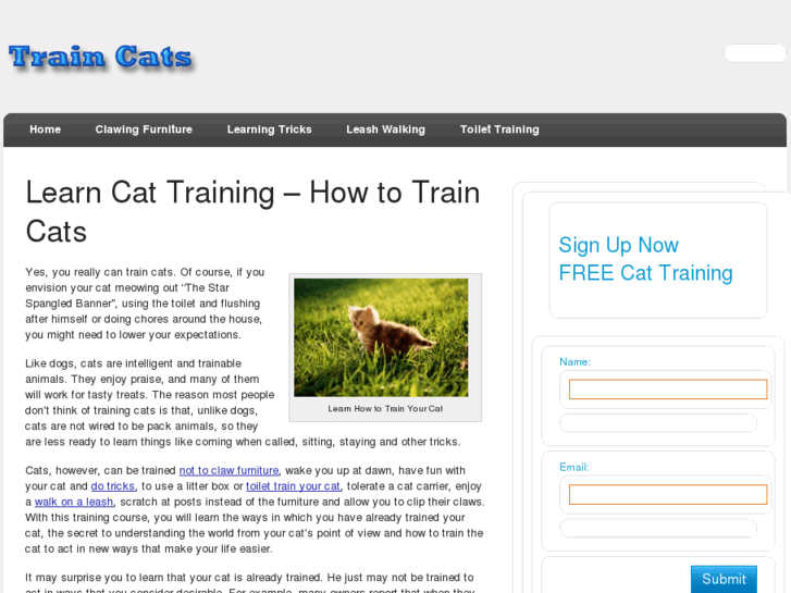 www.traincats.net