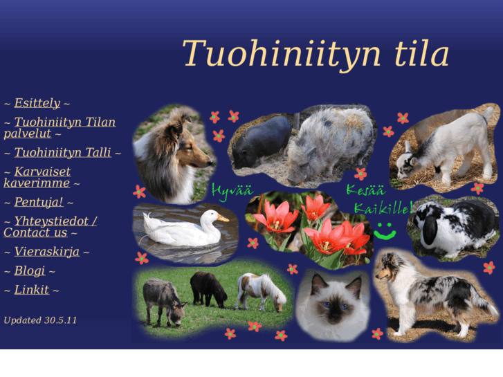 www.tuohiniitty.net