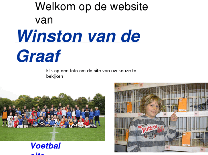 www.winstonvandegraaf.nl