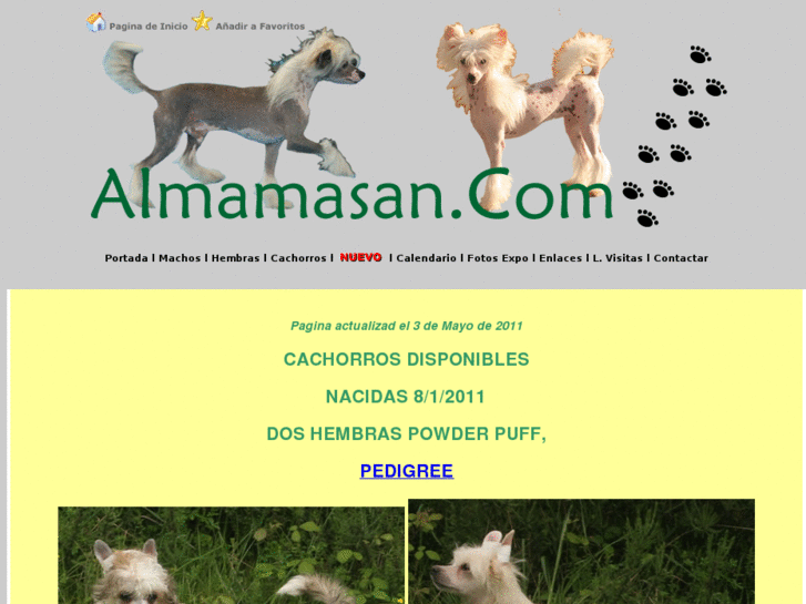 www.almamasan.com