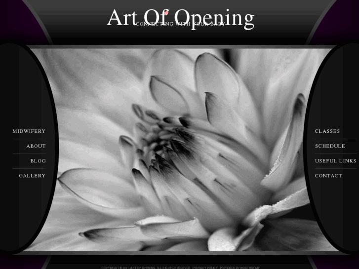 www.artofopening.com