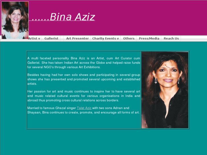 www.binaaziz.com