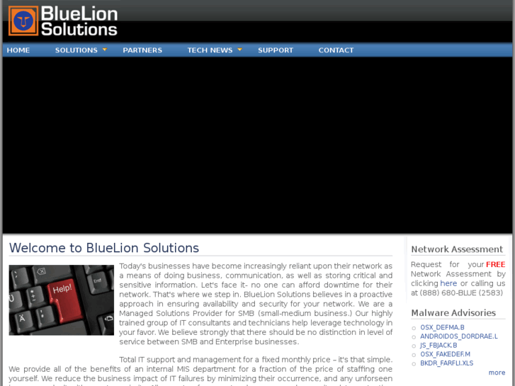 www.bluelionsolutions.com