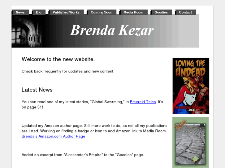 www.brendakezar.com