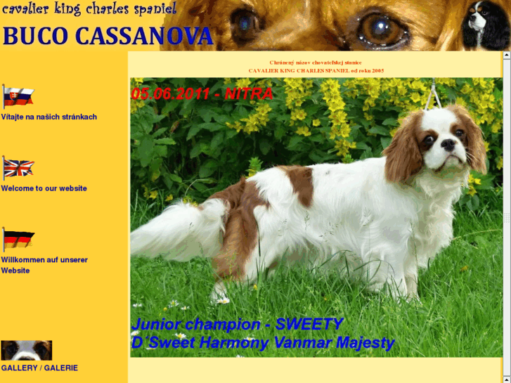 www.bucocassanova.com