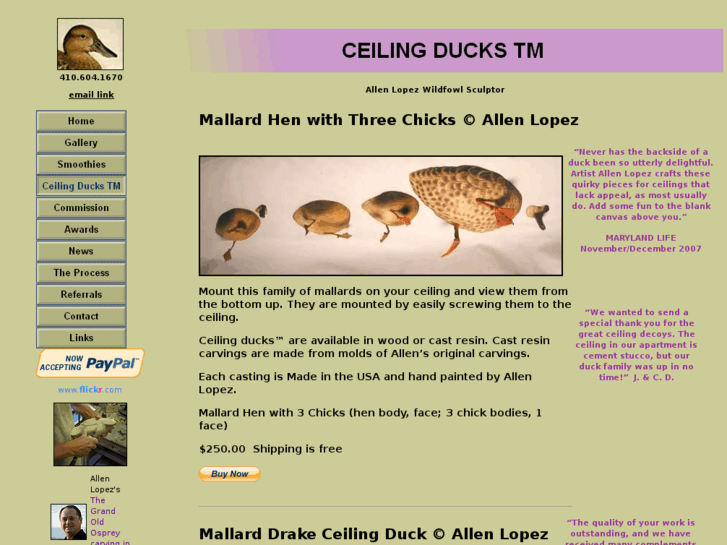 www.ceilingducks.com