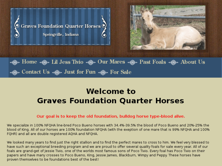 www.gravesfoundationqtrhorses.com