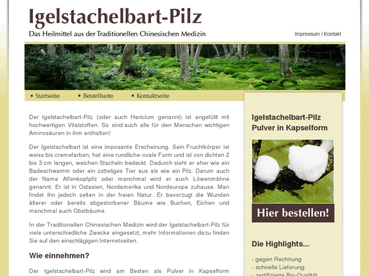 www.igelstachelbart-pilz.com